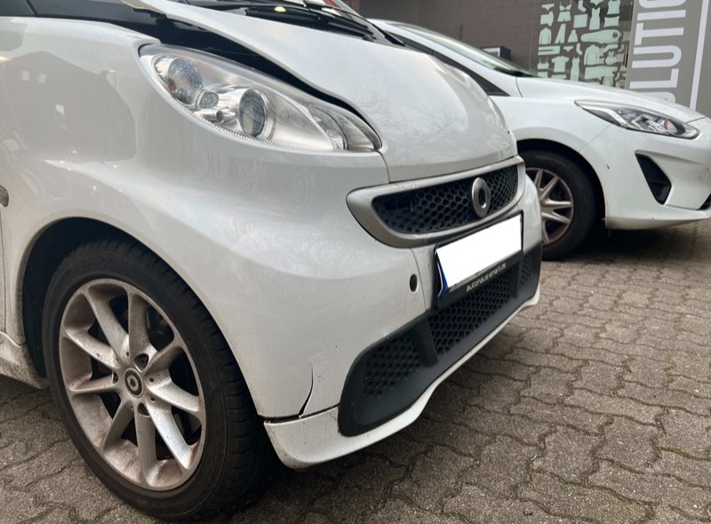 Smart Fortwo mit dokumentiertem Wildschaden